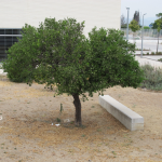 Instituto de Enseñanza Secundaria Carlos Álvarez (Autor fotografía: Joaquín Ortiz de Villajos)